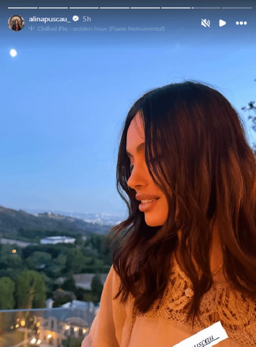 alina puscau 2