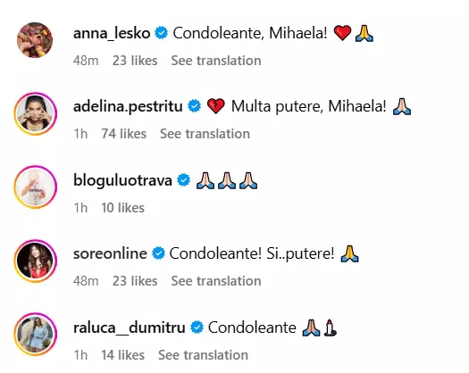 reactii-la-postarea-mihaelei-radulescu-moartea-lui-felix-baumgartner (2)