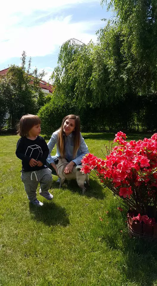 13241269_1014279615307249_5320921007819288109_n