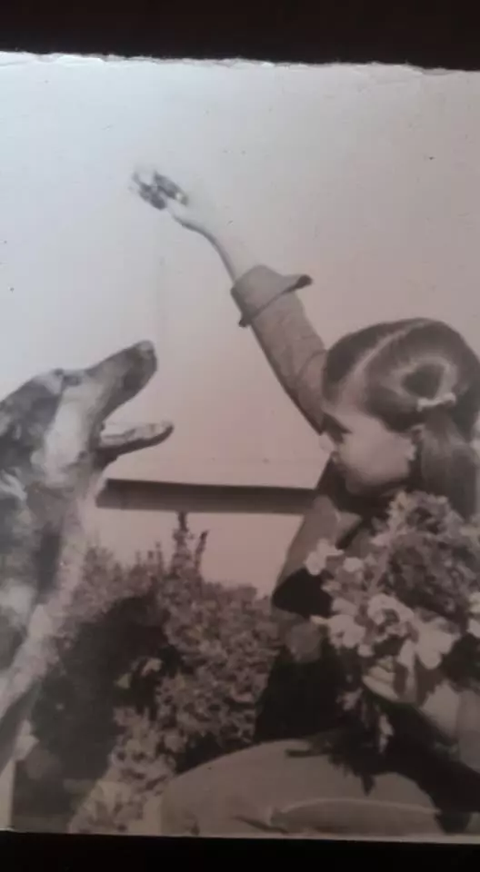 29571205_1877824368909073_3538849209872552761_n