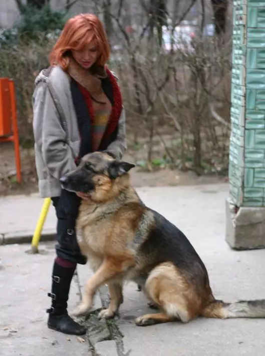 82360186_10158237112772625_4379958891992055808_n