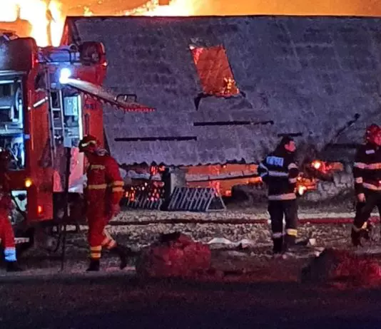 incendiu-ferma-dacilor3-1-534x462-1