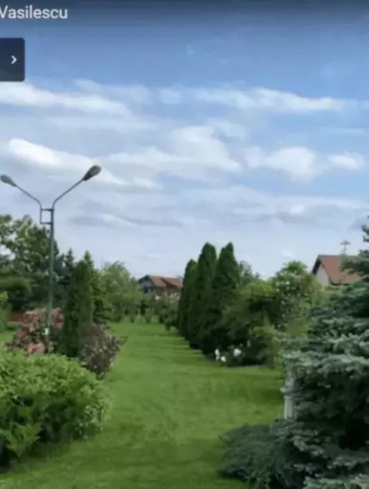 casa-tora-vasilescu-buftea-4