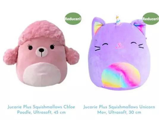 brigitte-business-nou-9