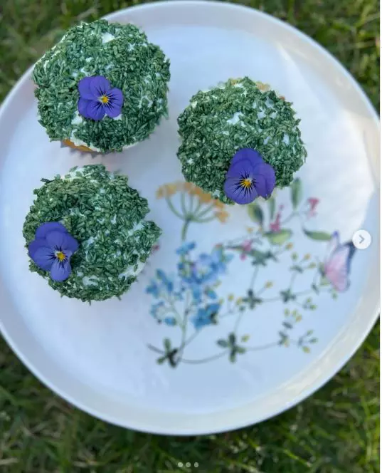 briose cu cocos si spirulina