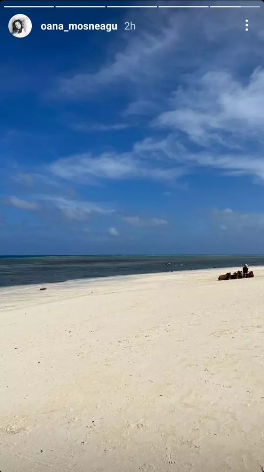 269534039_959623961595045_8122349718969481083_n