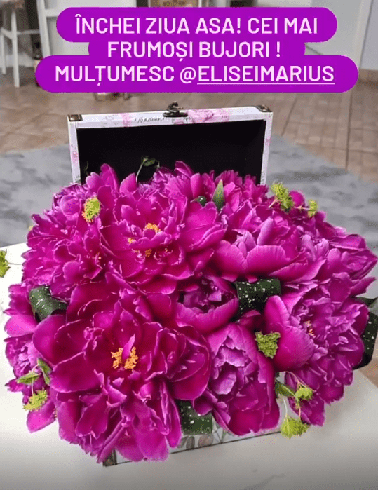 Bujori Oana Roman Marius Elisei