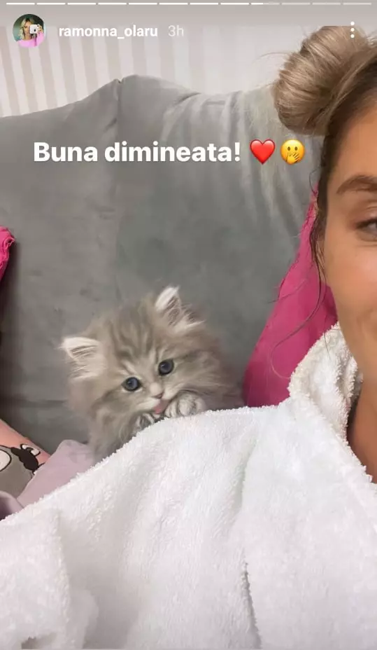 271384855_1388911751525358_4355346236917537817_n