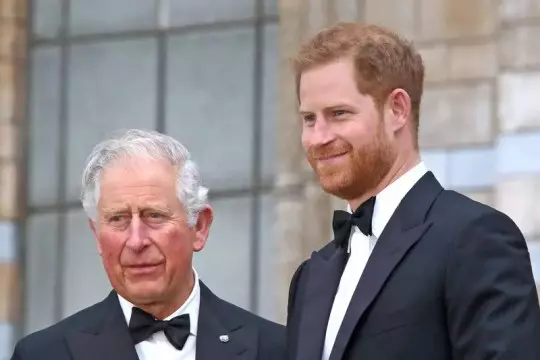 Meghan-Markle-Printul-harry-2-2