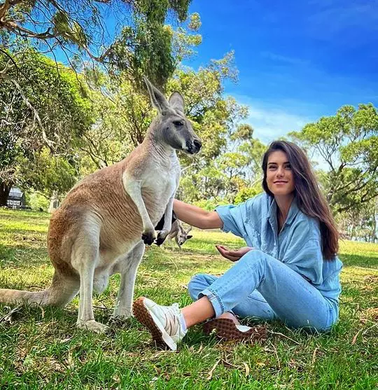 Sorana Cirstea Australia