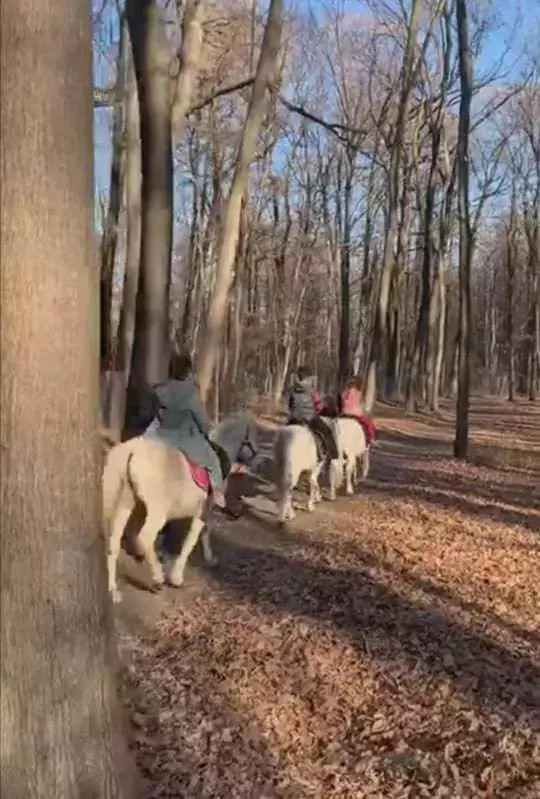 maria-basescu-cu-nepotii-la-calarie-2