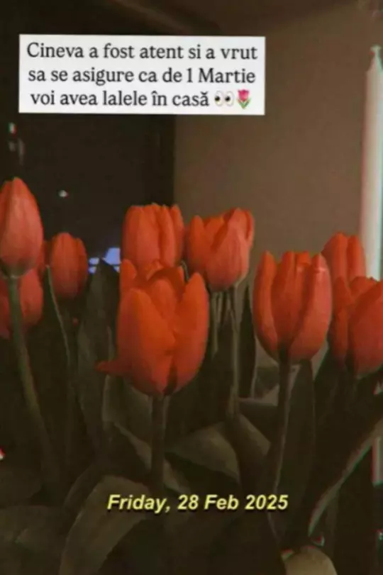 Lidia Buble cadou