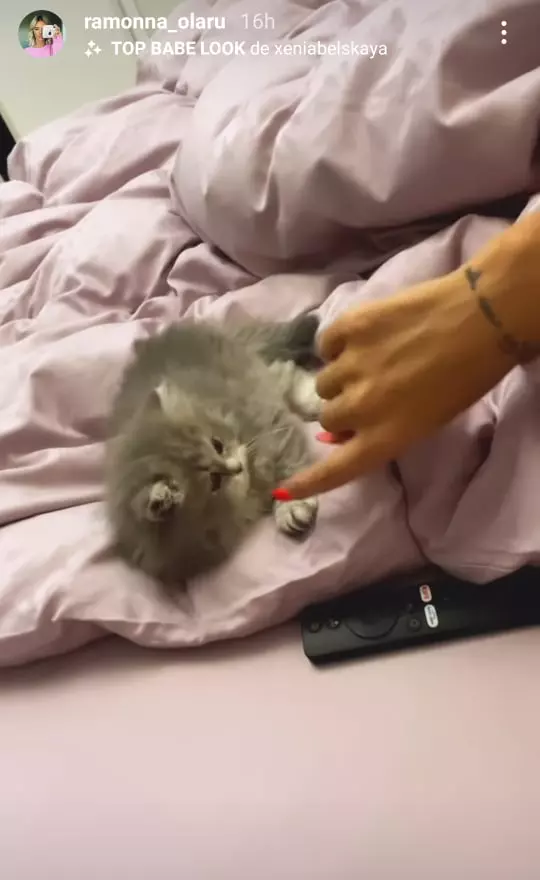 270710230_324869732863123_8686960127545447100_n