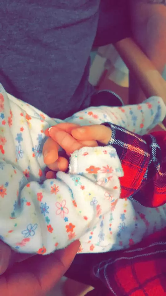 Darcy și Beatrice