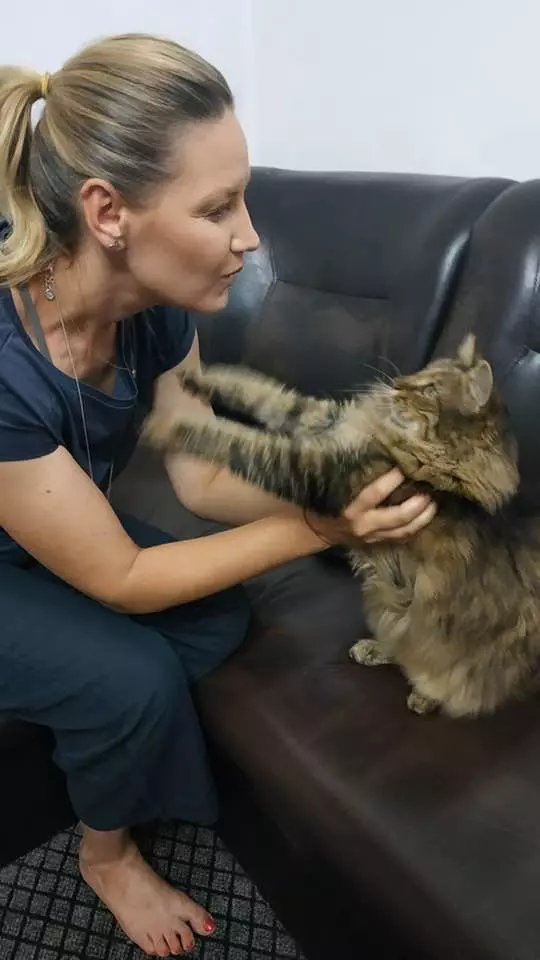 Melania Medeleanu covid (3)