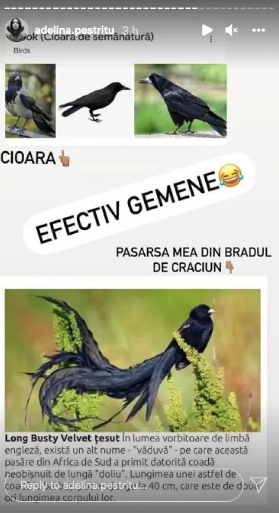 Adelina, mesaj pentru cei care au criticat-o