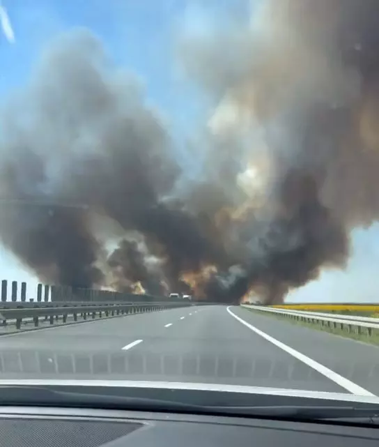 Imaginea publicată de Culiță Sterp