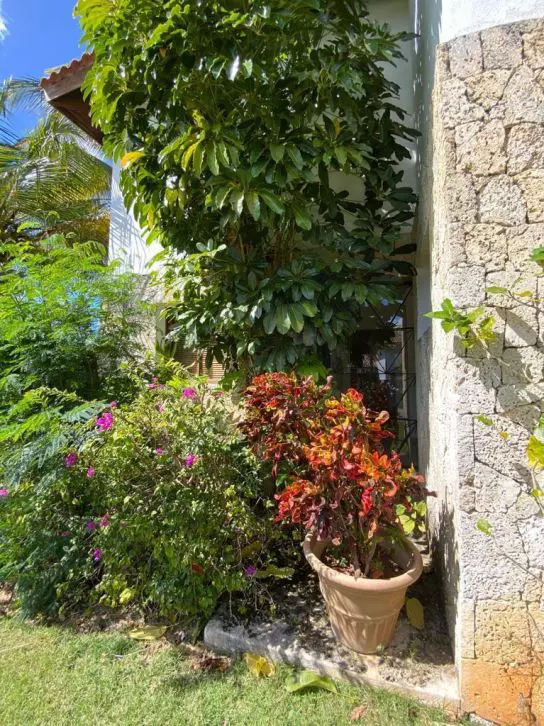 casa daniel pavel 2
