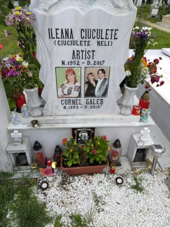 mormant-ileana-ciuculete