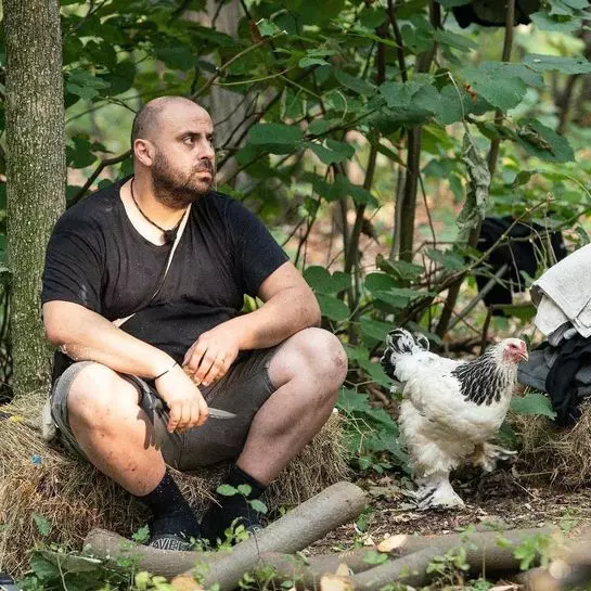 gabriel-toader-ferma-4