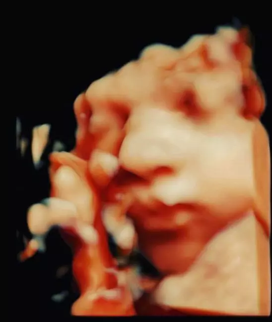 anamaria-prodan-mesaj-reghe-3