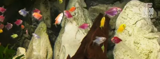 whatsapp-image-2023-09-20-at-15.43.41-1