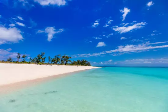 Mozambic