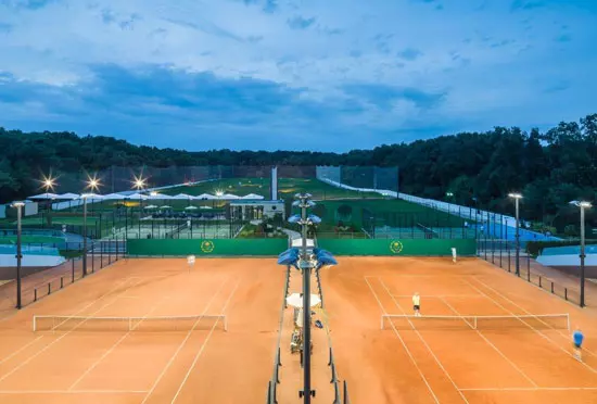 Tenis