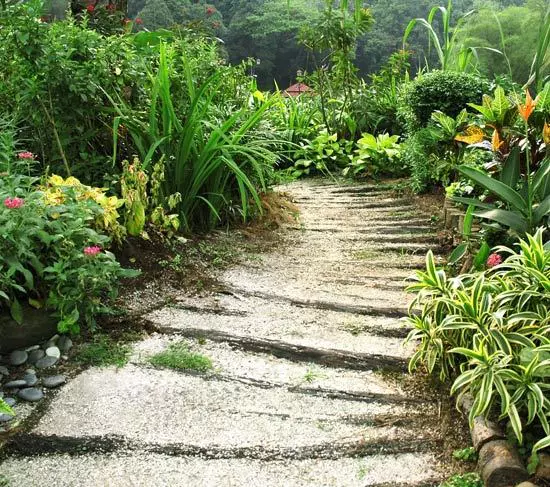 Scanduri din lemn marcheaza micile &bdquo;trepte&ldquo; ale acestei alei marginite de roci de calcar si vegetatie ce aminteste de zonele de munte (tuya, chamaecyparis, euonymus etc., de mica inaltime). 