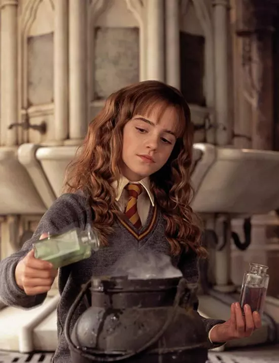 Hermione Granger (Emma Watson) în seria `Harry Potter` 2001-2011