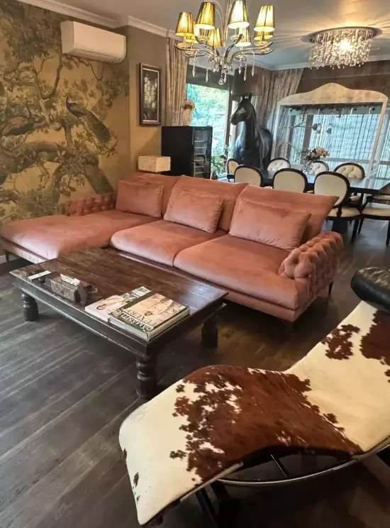 casa-andreea-marin-living-redecorat (7)