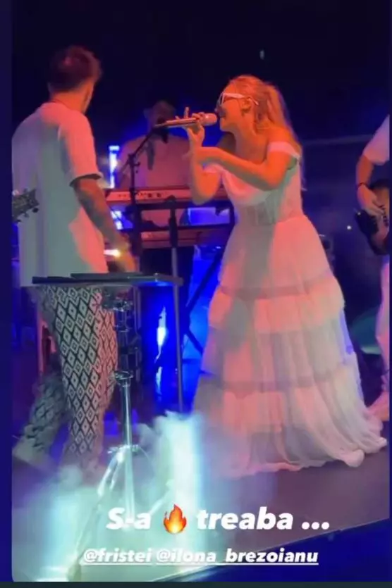 ristei si ilona