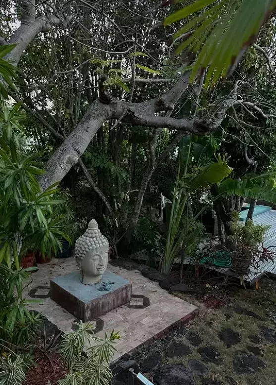 lidia buble postare10