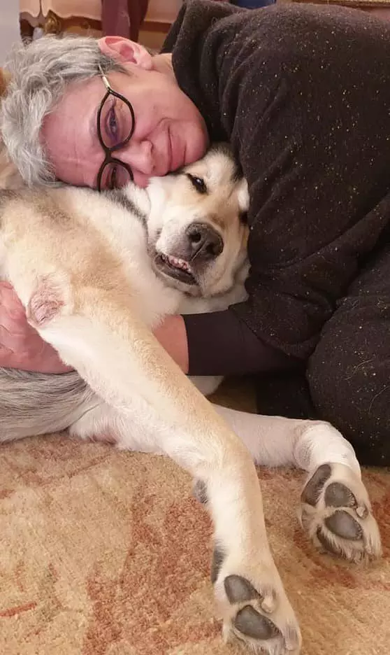 66419609_10157672823137625_7829399323870756864_n