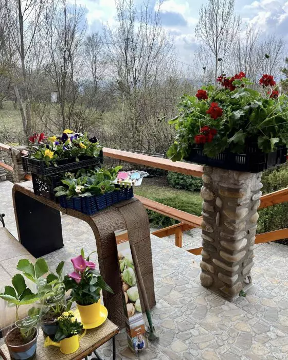 andreea-marin-casa-1