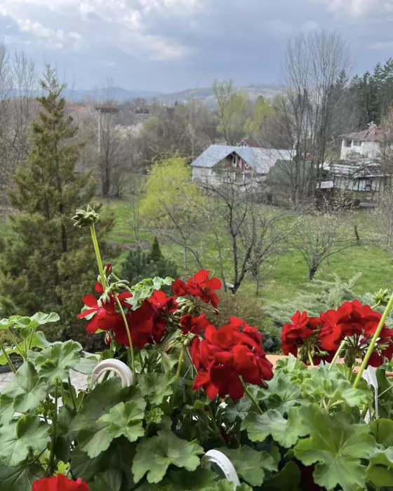 andreea-marin-casa-2