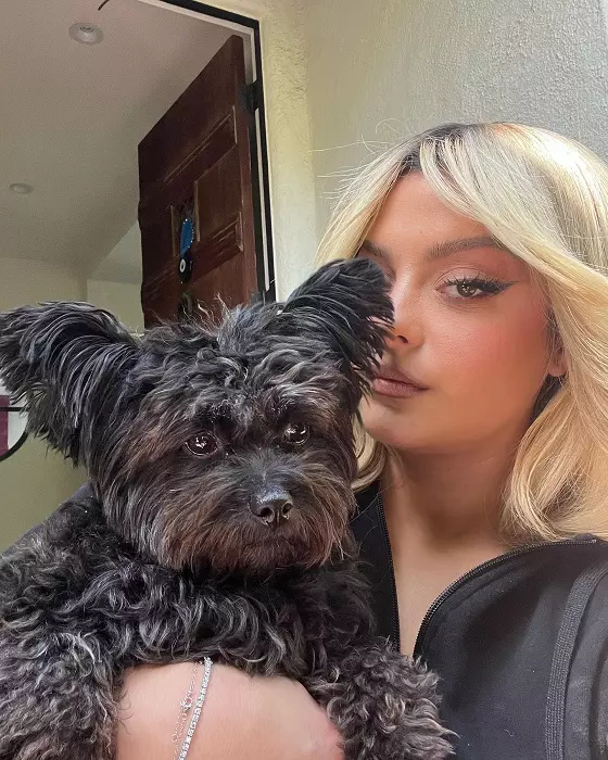 bebe rexha (4)