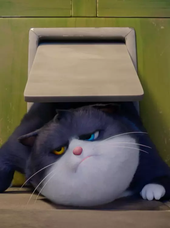10 Lives