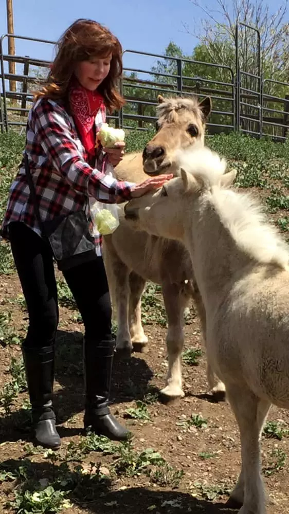 406431072_928872885269288_2208906547429318924_n