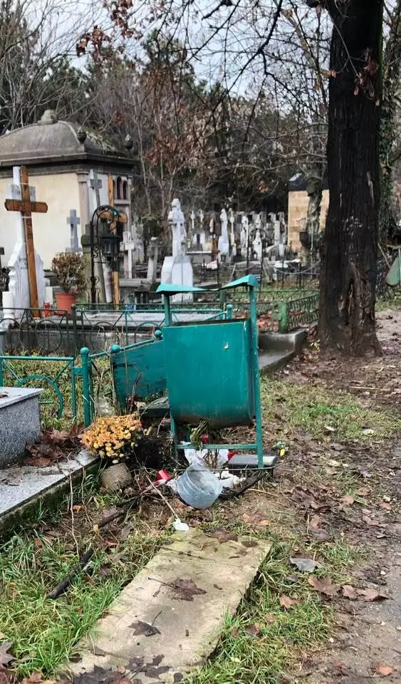 Oana Pellea cimitirul Bellu