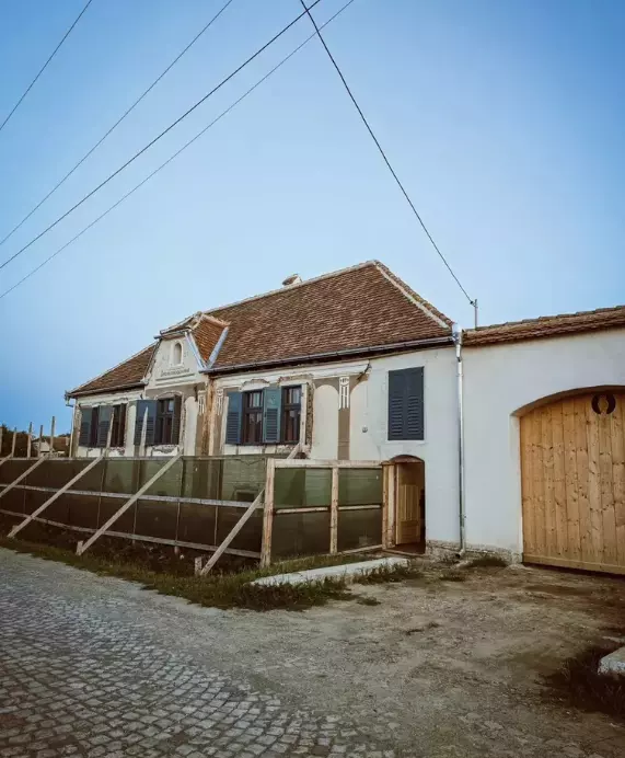 casa din Viscri a Danei Rogoz (2)