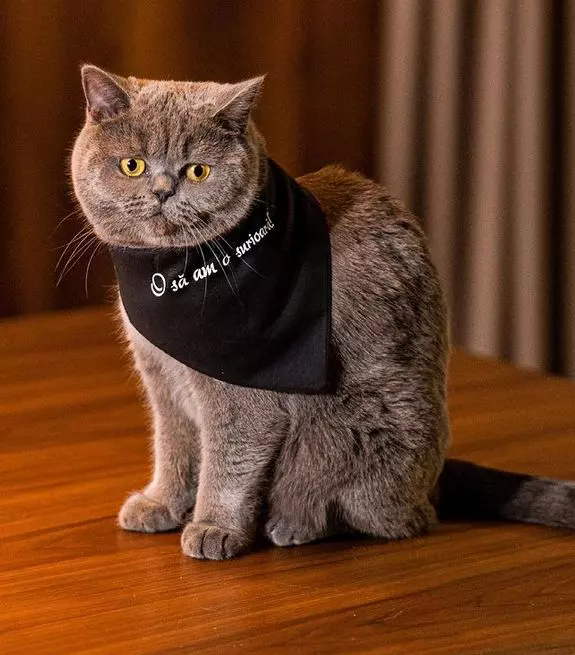 Nicole-Cherry-VIVA-septembrie-5