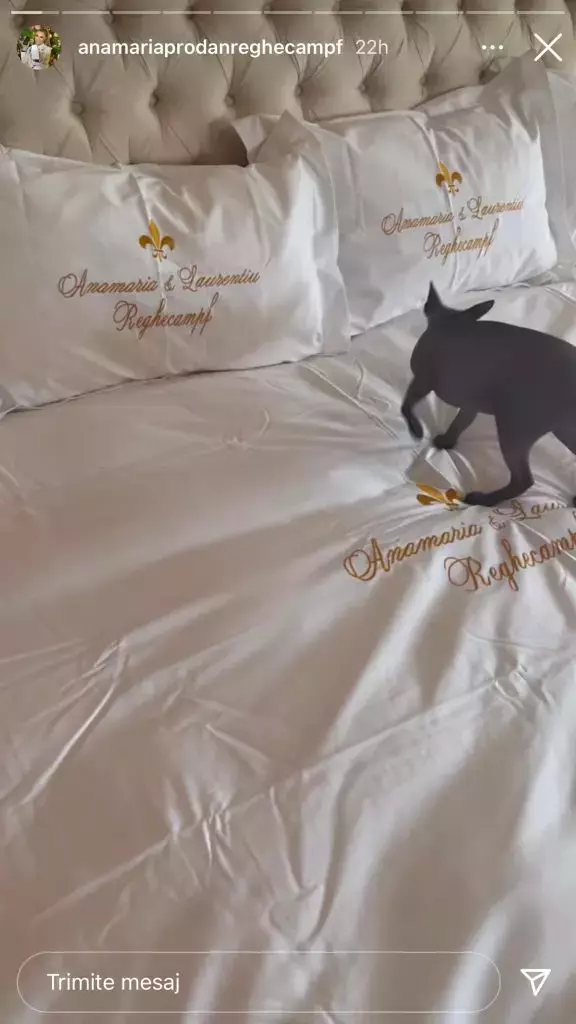 278429930_1005971696701718_7344468015158588730_n-576x1024-1