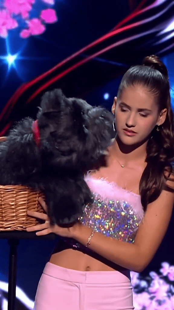 vlcsnap-2023-11-13-17h47m06s995