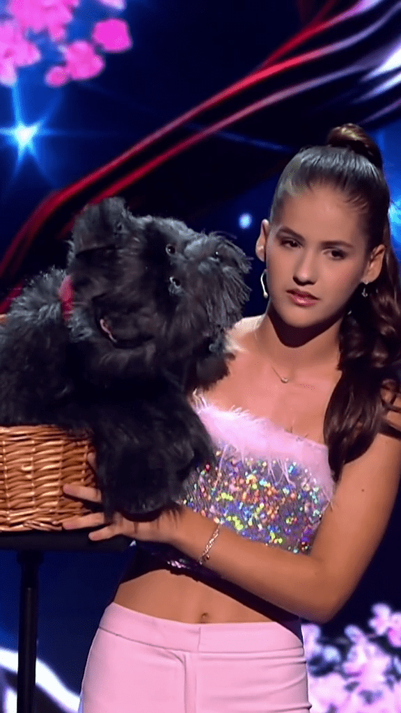 vlcsnap-2023-11-13-17h47m23s648