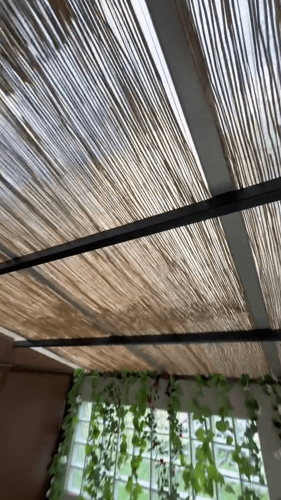 vlcsnap-2024-05-01-10h56m11s073