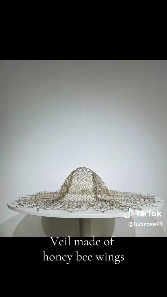 Voal de doliu din 20.000 de aripi de albine
