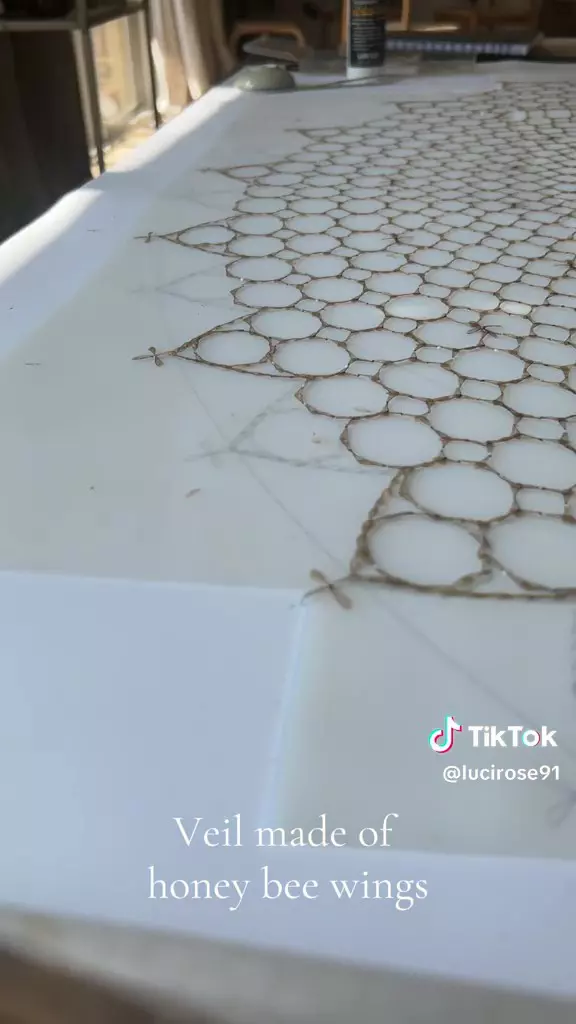 Voal de doliu din 20.000 de aripi de albine