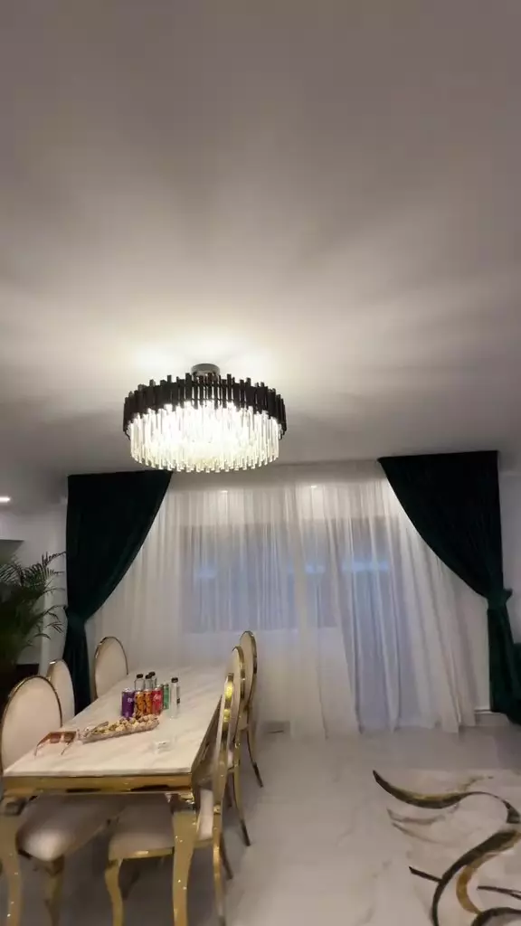 Tzancă Uraganu casă (21)