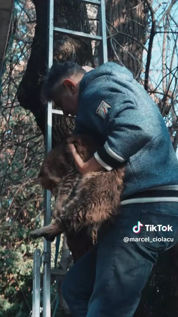 Marcel Ciolacu și-a salvat pisica Maine Coon din copac într-un hanorac Loro Piana de aproape 4000 de euro (6)